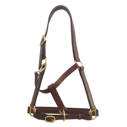 Horse Halters